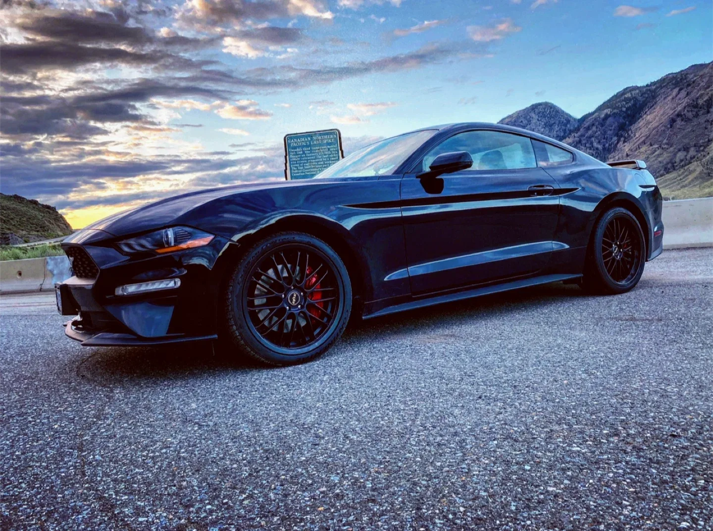 Beloved 2019 Ford Mustang Ecoboost PP - premium performance image indicator(9)