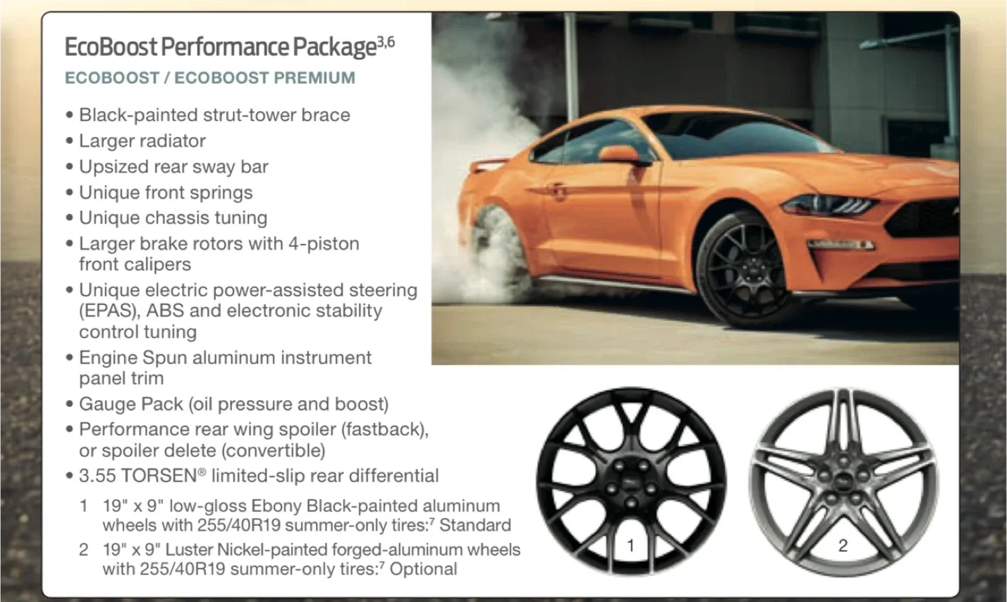Beloved 2019 Ford Mustang Ecoboost PP - premium performance image indicator(10)