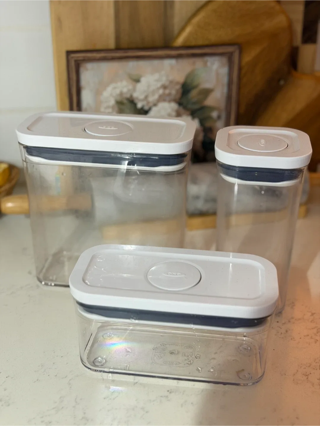 OXO Good Grips 3-Piece Container Set thumbnail
