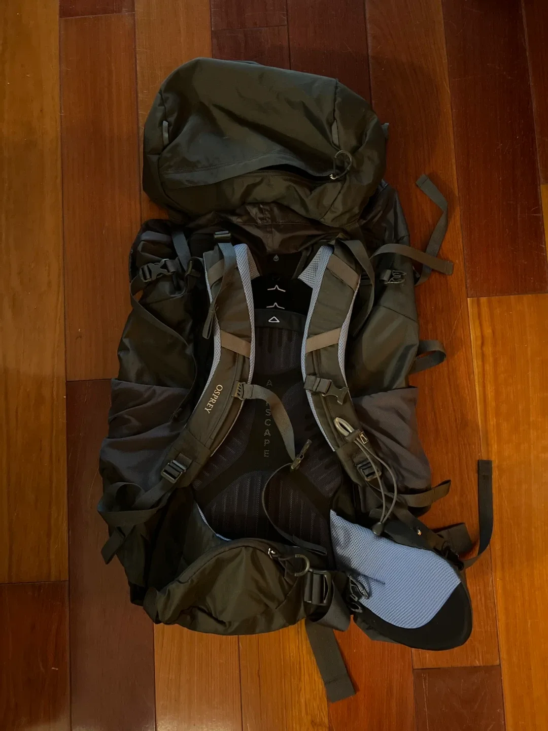 Osprey Kyte 56 Backpack - Hiking Pack image indicator(2)