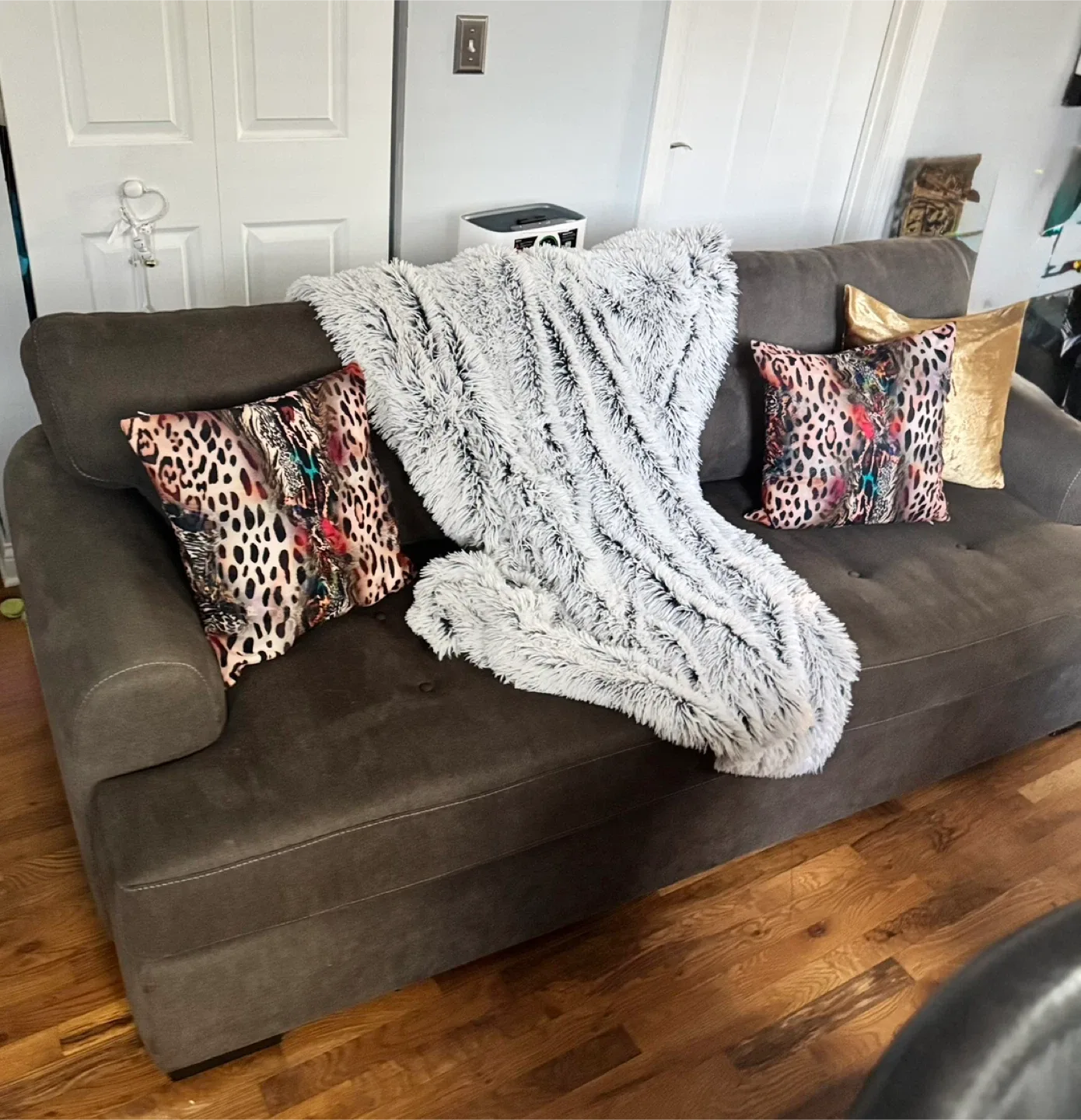 Gray Sofa, couch thumbnail
