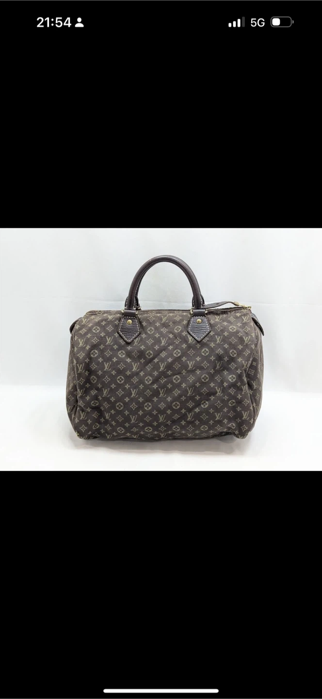 Louis Vuitton Speedy Mini Lin Handbag