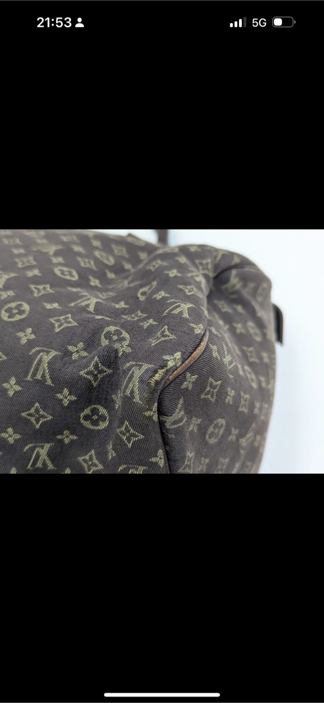 Louis Vuitton Speedy Mini Lin Handbag - photo 4