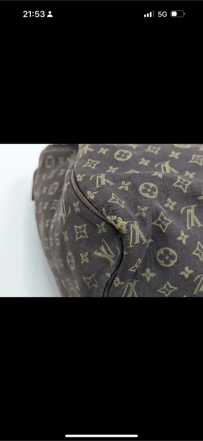 Louis Vuitton Speedy Mini Lin Handbag - photo 3