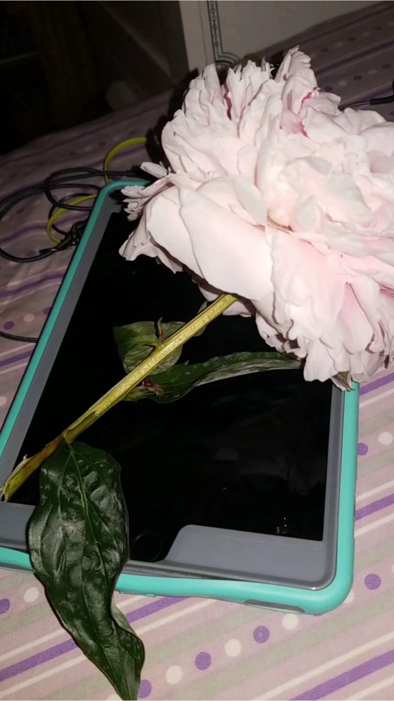 Apple iPad