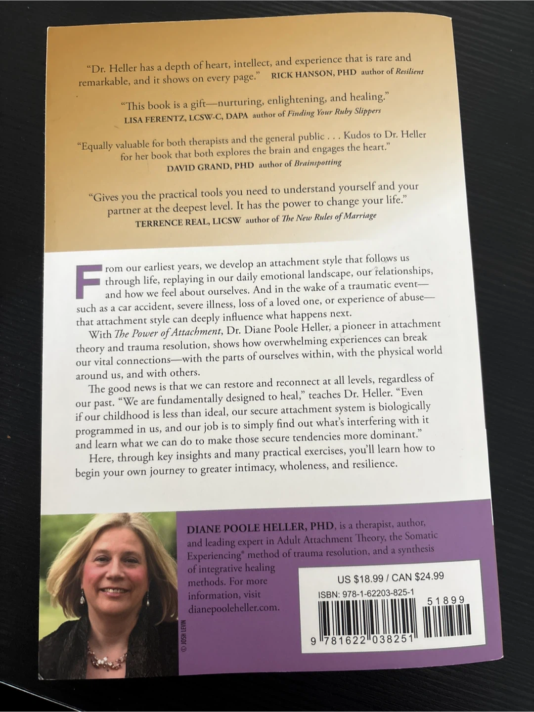 The Power of Attachment by Diane Poole Heller - photo 2