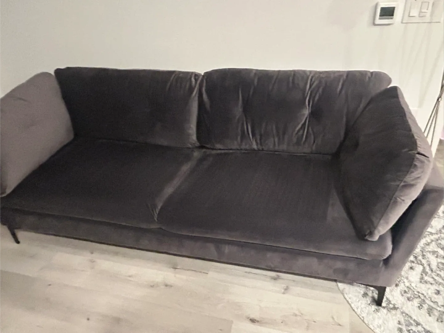 Wazo Moreno Grey Velvet Sofa image indicator(2)