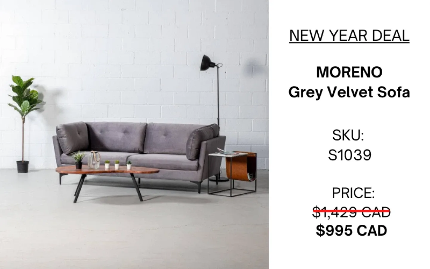 Wazo Moreno Grey Velvet Sofa image indicator(6)