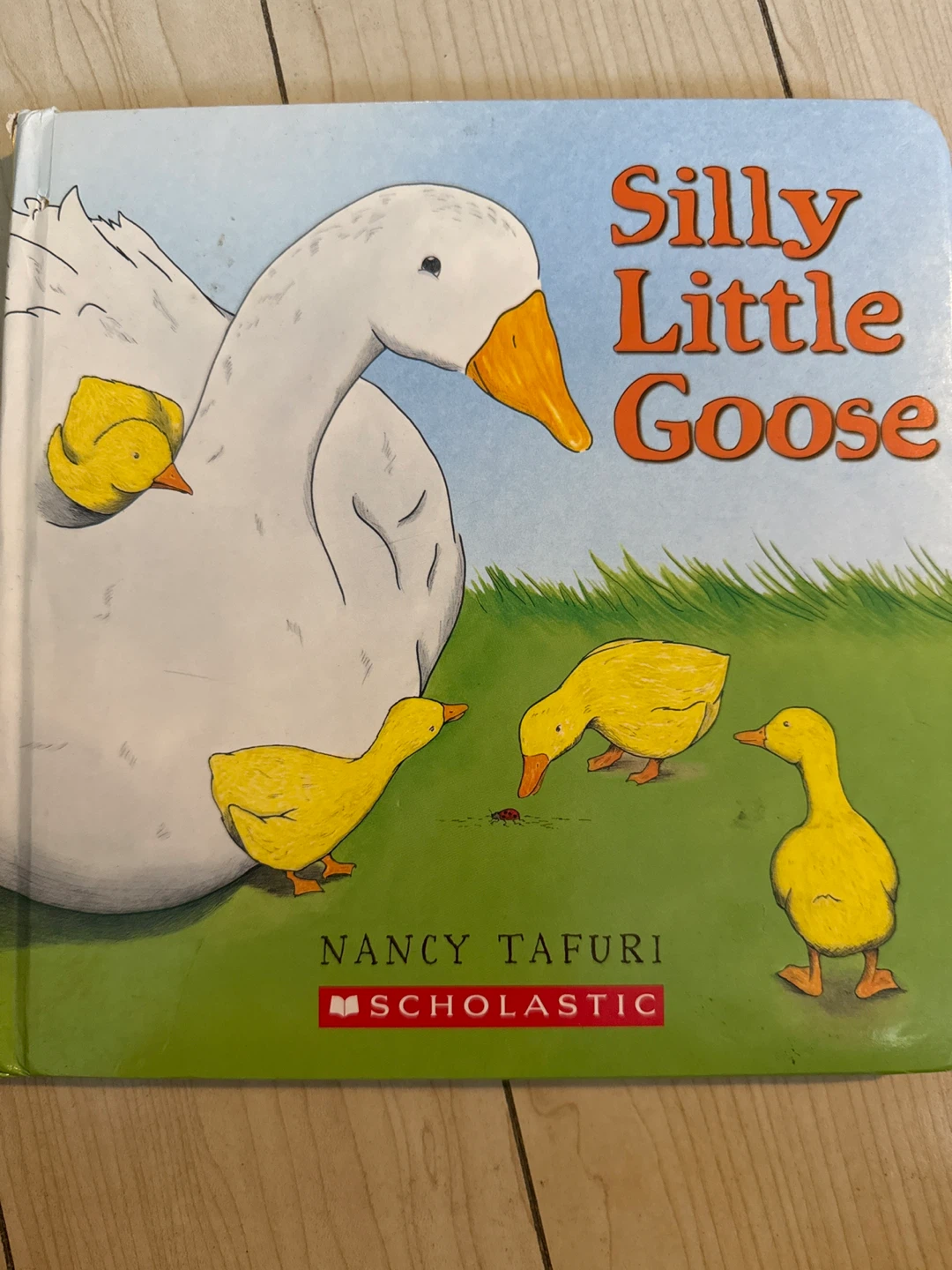 Silly Little Goose by Nancy Tafuri