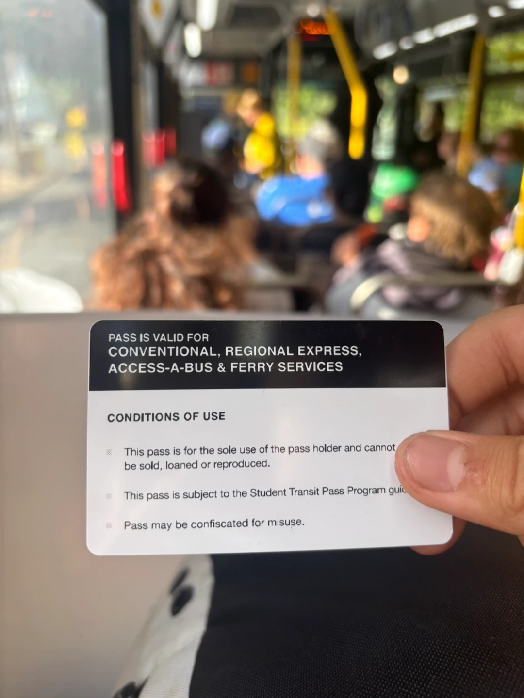 Halifax Transit Student Pass 2025/26 - photo 2