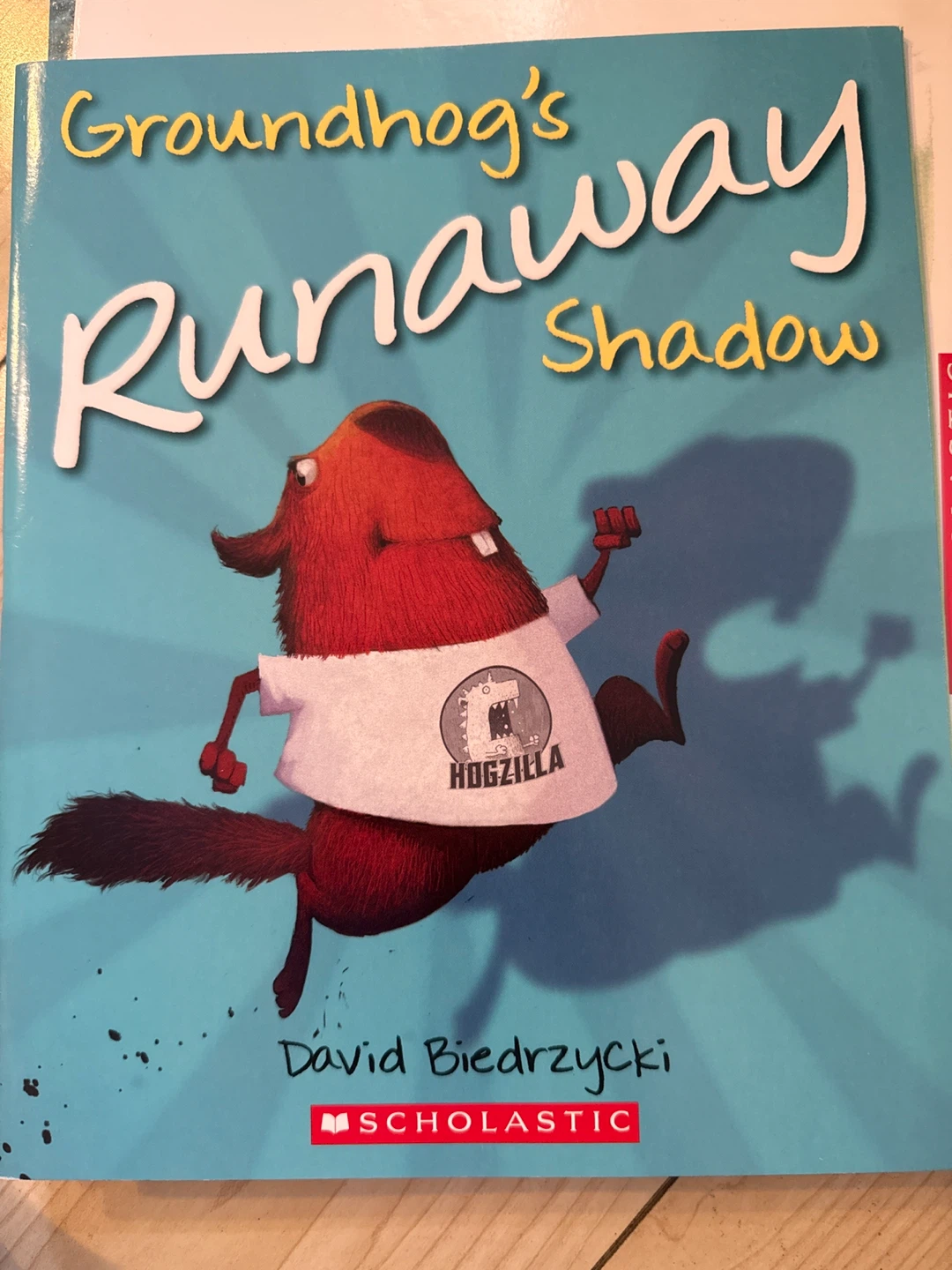 Kids' Book Bundle - The Water Princess & More! - photo 5