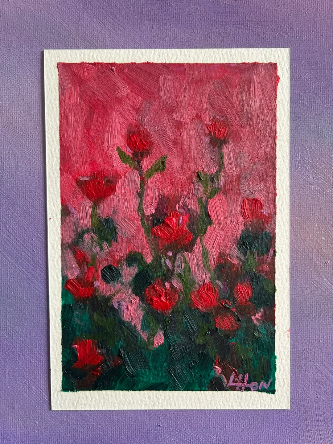 “Solace” Series image indicator(2)