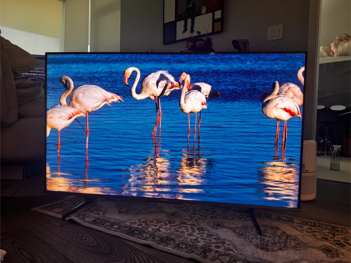 *MOVING* Hisense TV (includes 2 years warranty with a box) - photo 2
