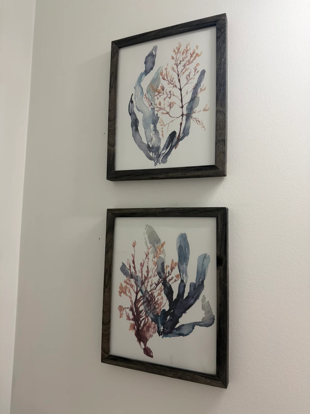 Framed Botanical Prints - Set of 2