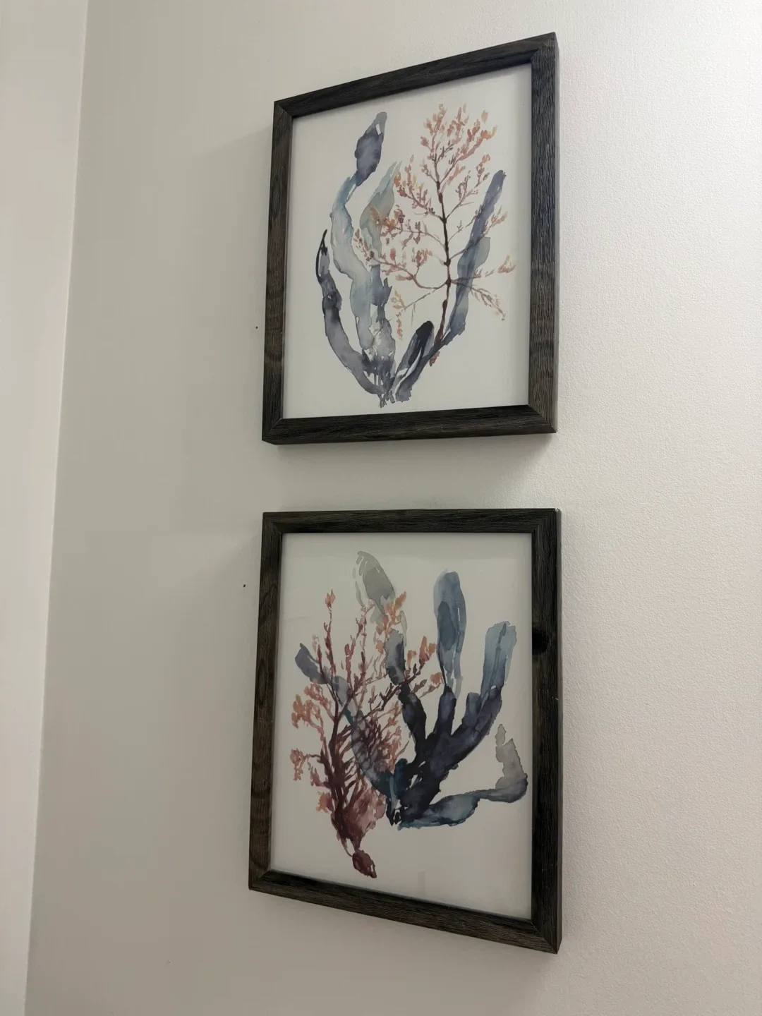 Framed Botanical Prints - Set of 2 thumbnail