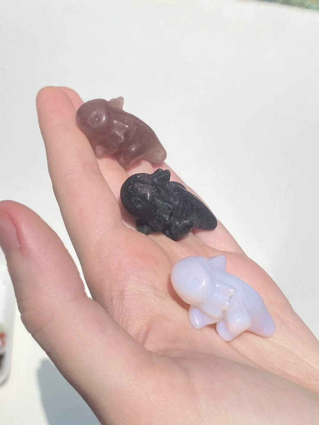 Axolotl Crystal image indicator(2)