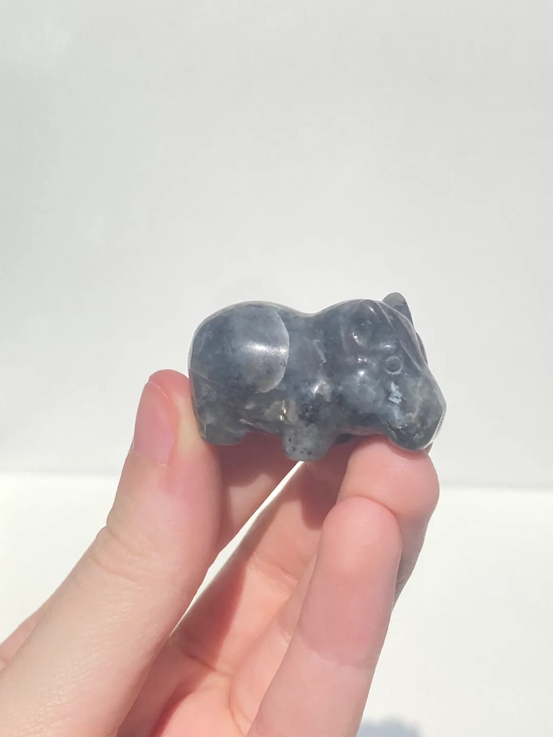 House Hippo Crystal image indicator(4)