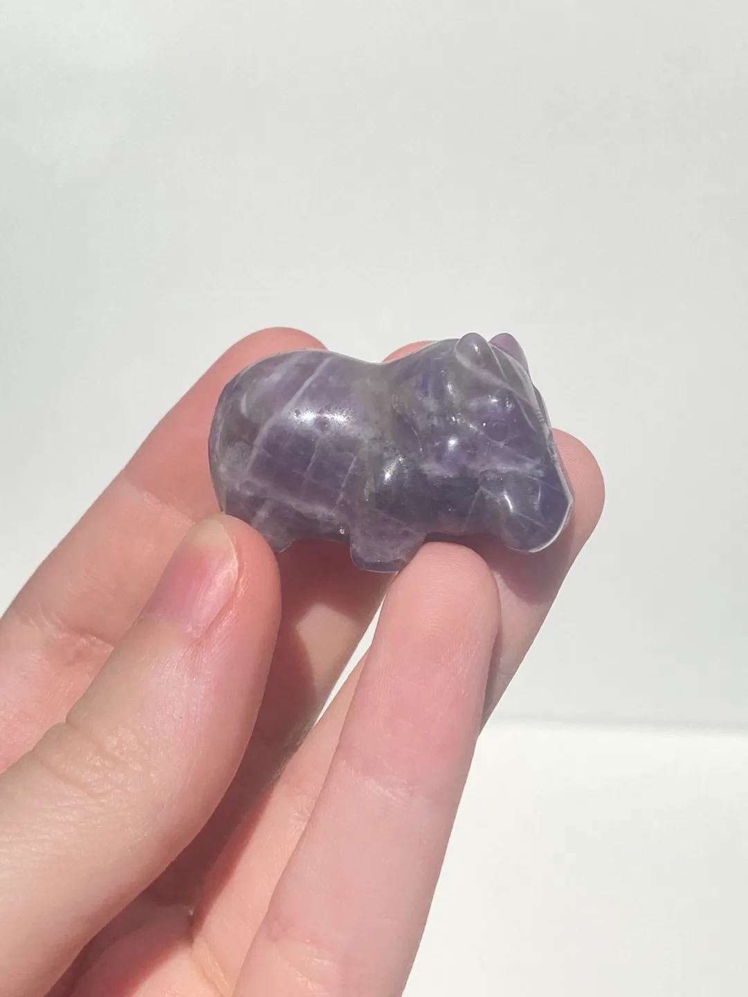 House Hippo Crystal image indicator(3)