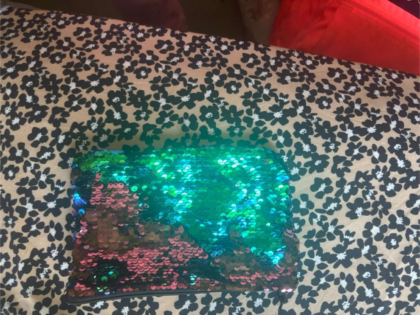 Sequin Bag