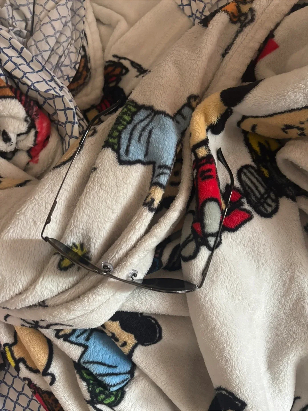 Sunglasses image indicator(4)