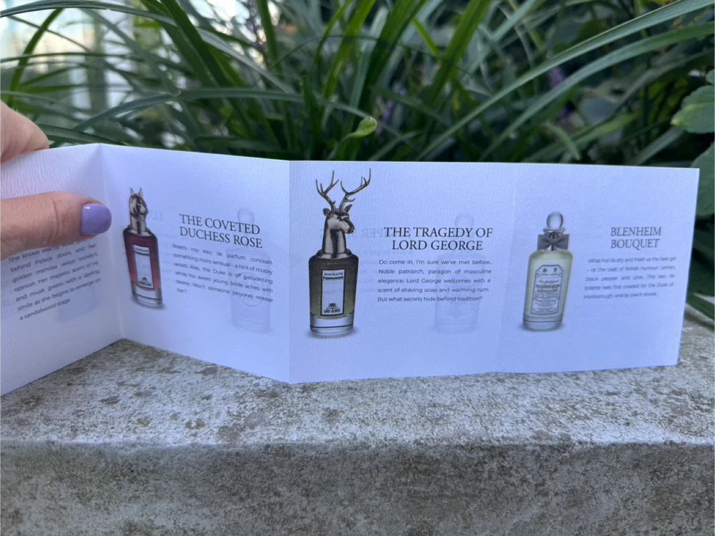 Penhaligon’s perfumes 2ml miniatures image indicator(3)