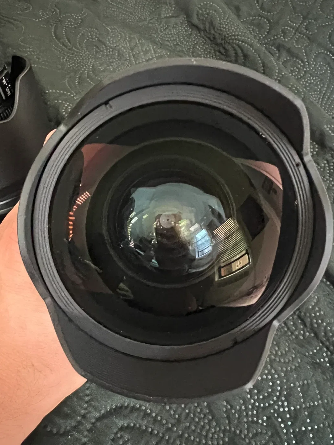 Nikon D800 full frame together with the” holy trinity” of lenses image indicator(6)