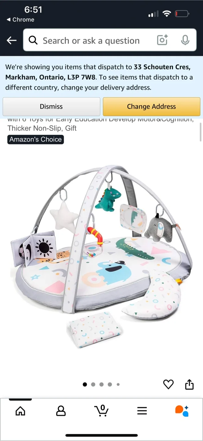 Lupantte Baby Play Gym - Excellent Condition!