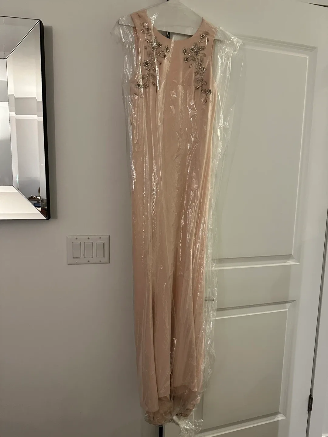 Blush Formal Dress thumbnail