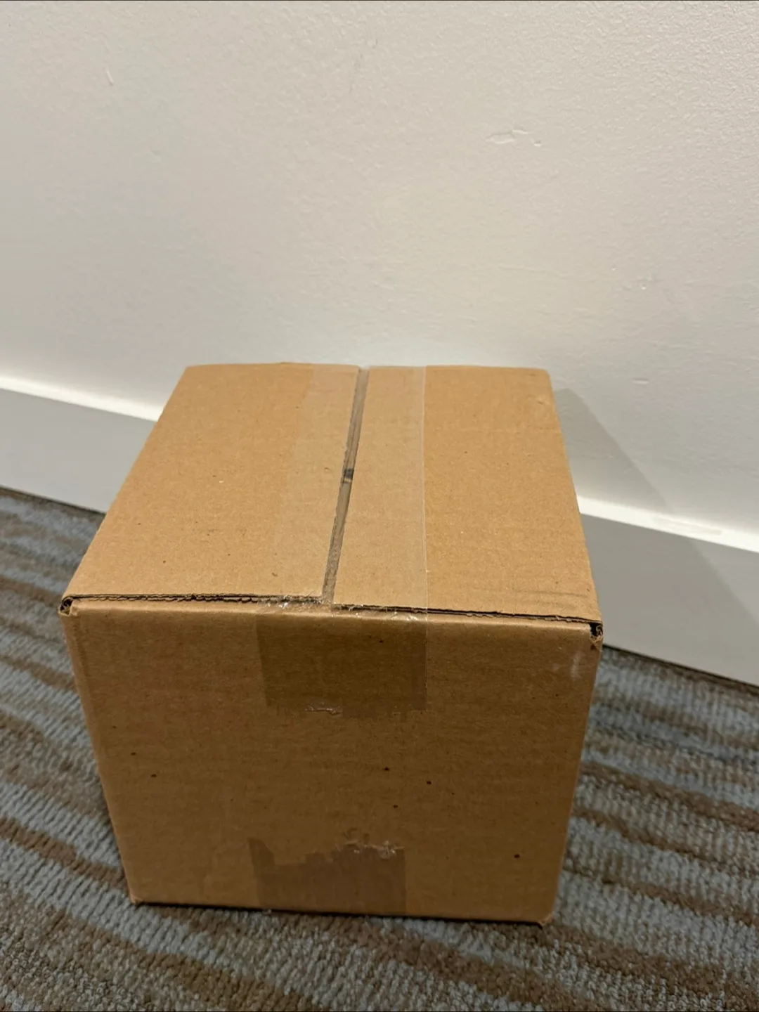 Pokemon Paldean fates tech sticker 12 packs collection case image indicator(2)