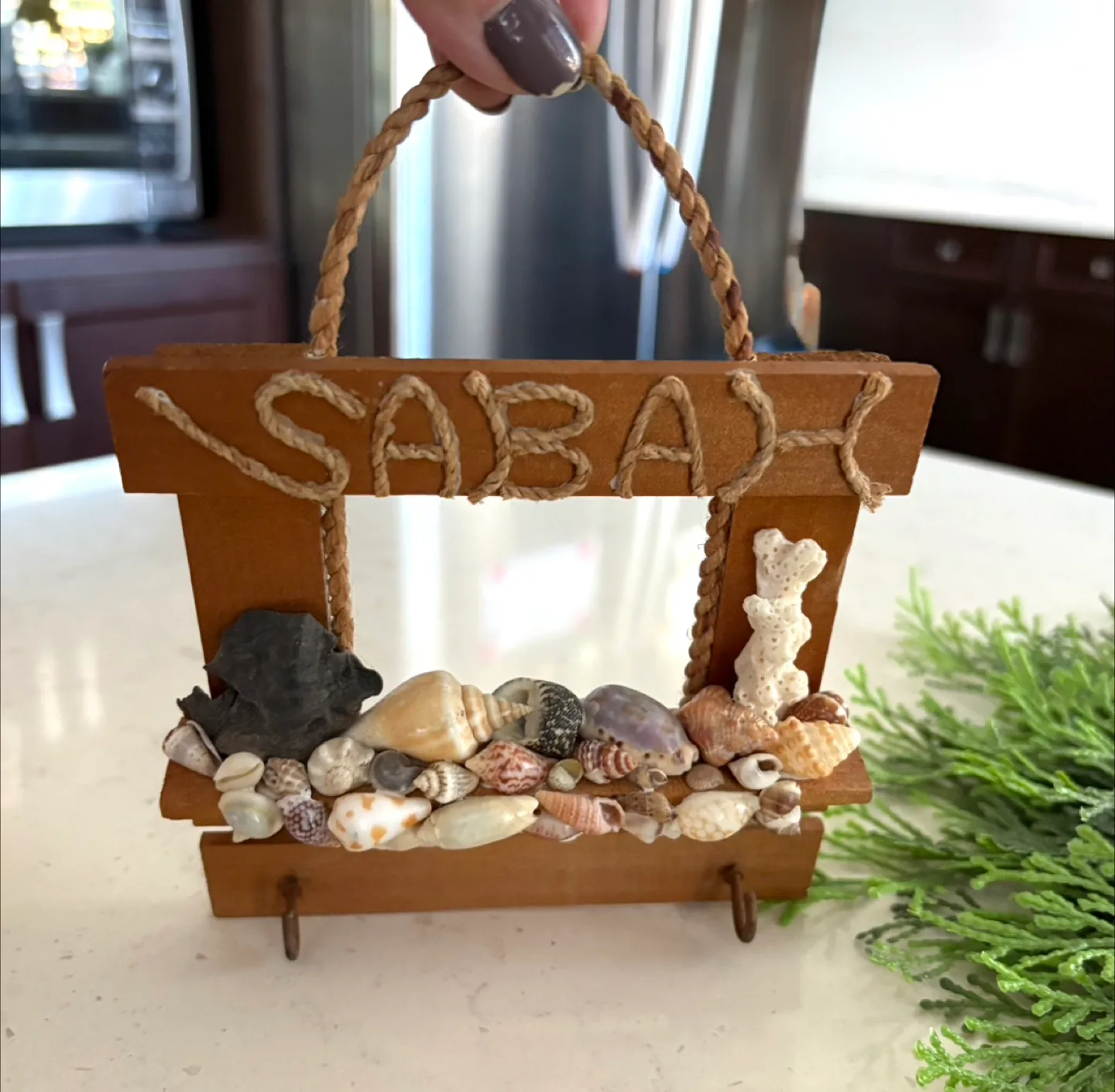 Handmade Sabah Shell Display - New thumbnail
