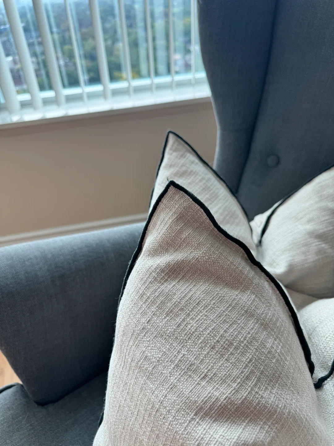 Set of 2 Decorative Throw Pillows with insert image indicator(2)