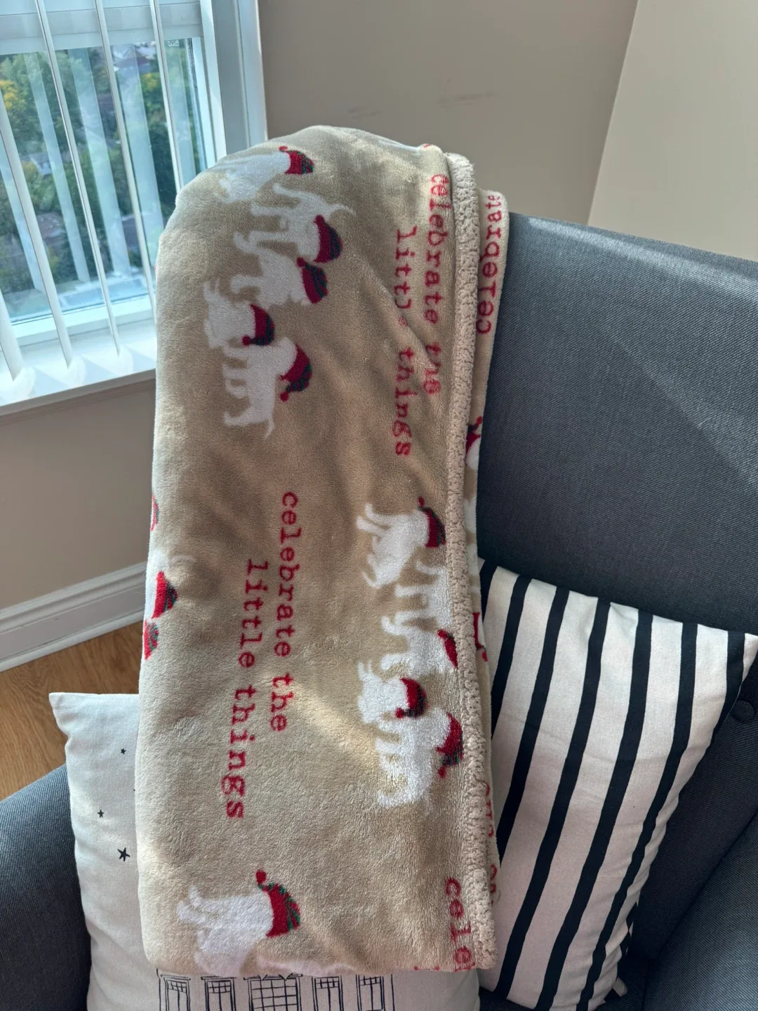 Throw Blanket thumbnail