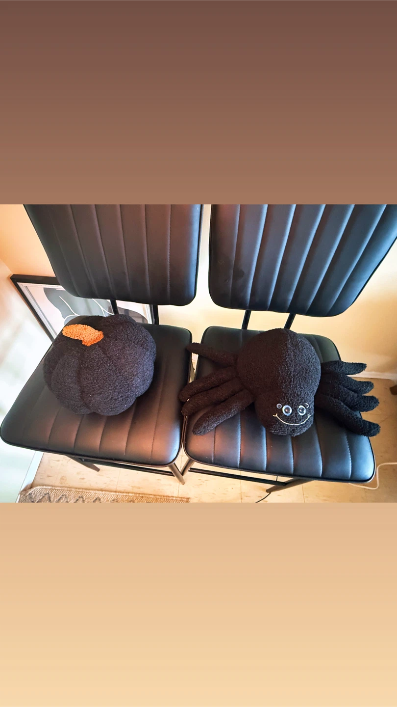 🥕Plush Set: Spider & Pumpkin - photo 2