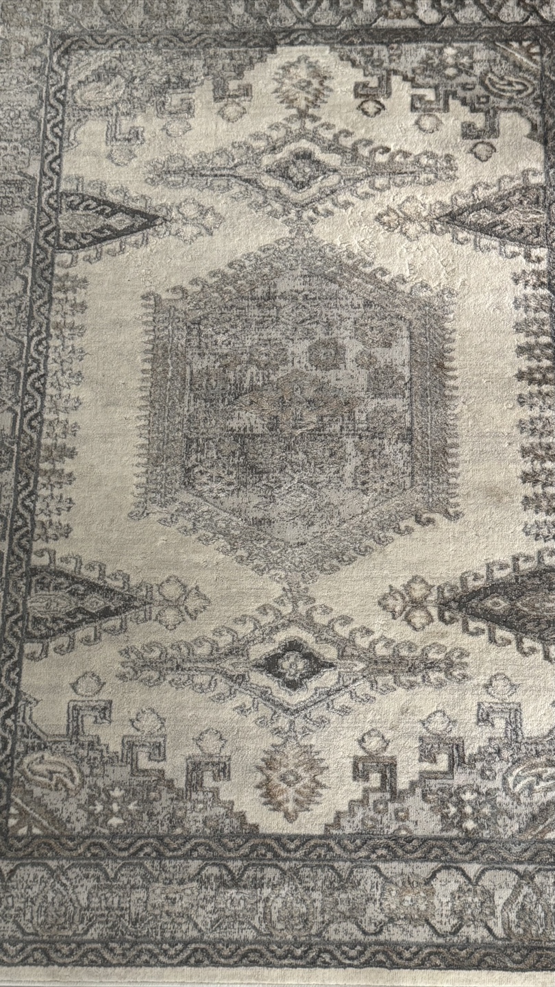 Area Rug - photo 2