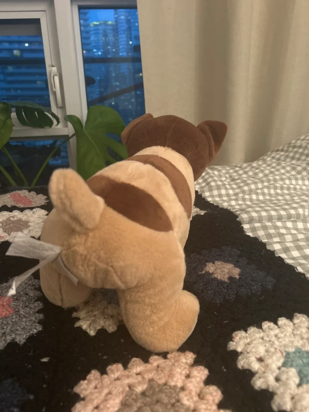 Bulldog Warmies image indicator(2)