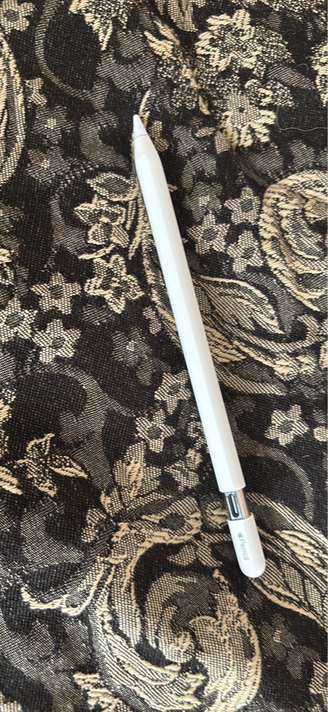 Apple Pencil USB C - photo 2