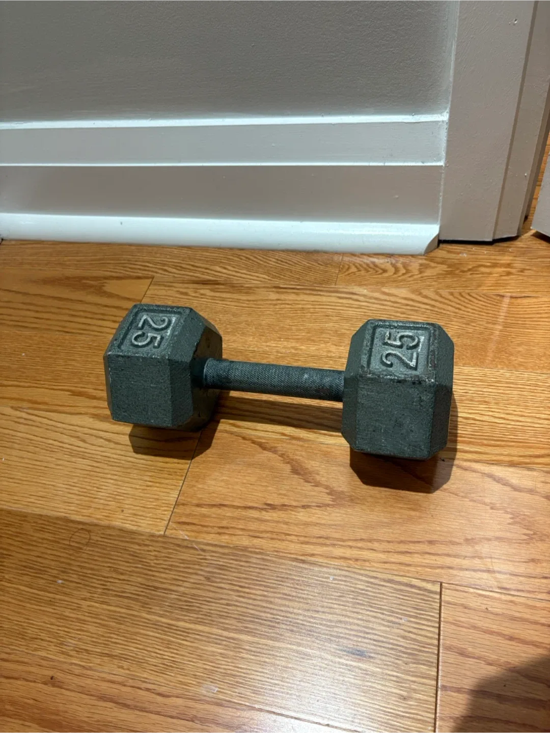 25 lb Dumbbell image indicator(2)
