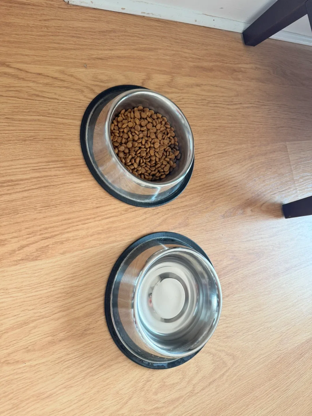 Dog Bowls - Stainless Steel thumbnail