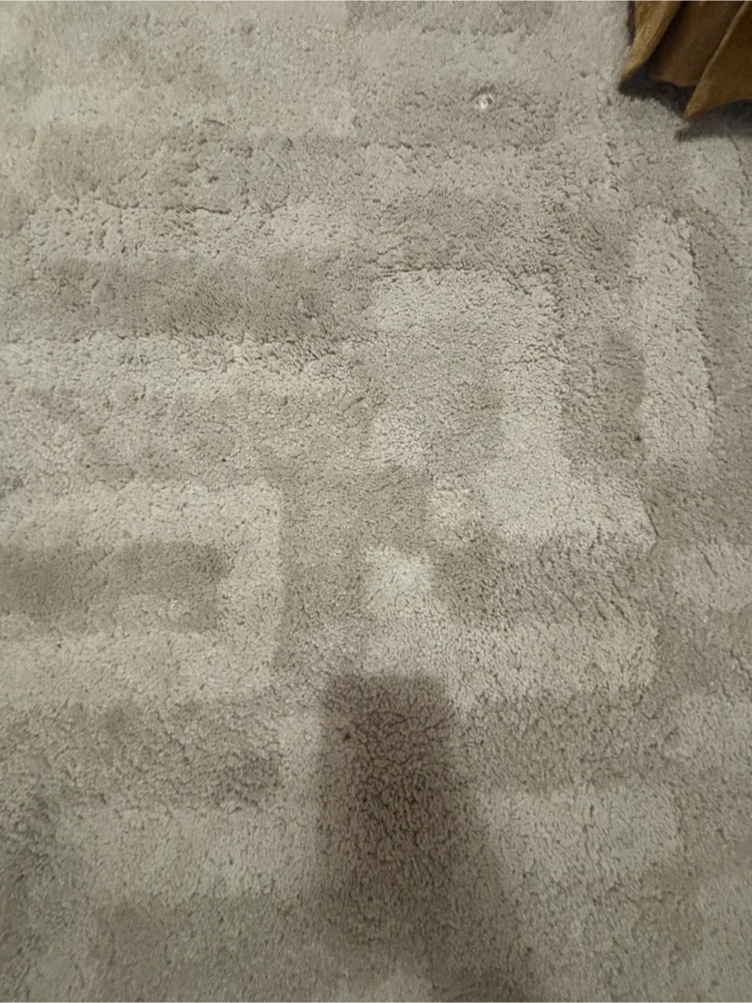 Large Patterned Area Rug image indicator(2)