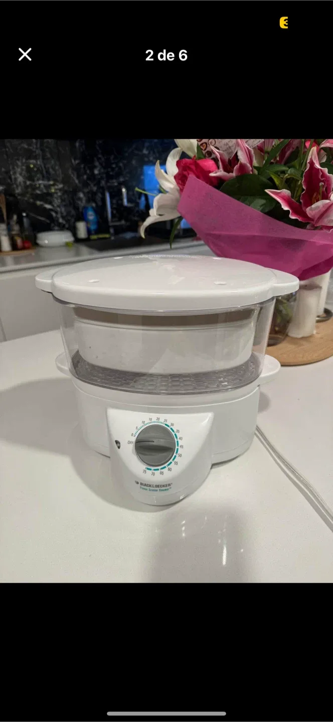 Black & Decker Flavor Scenter Steamer HS2000 image indicator(2)