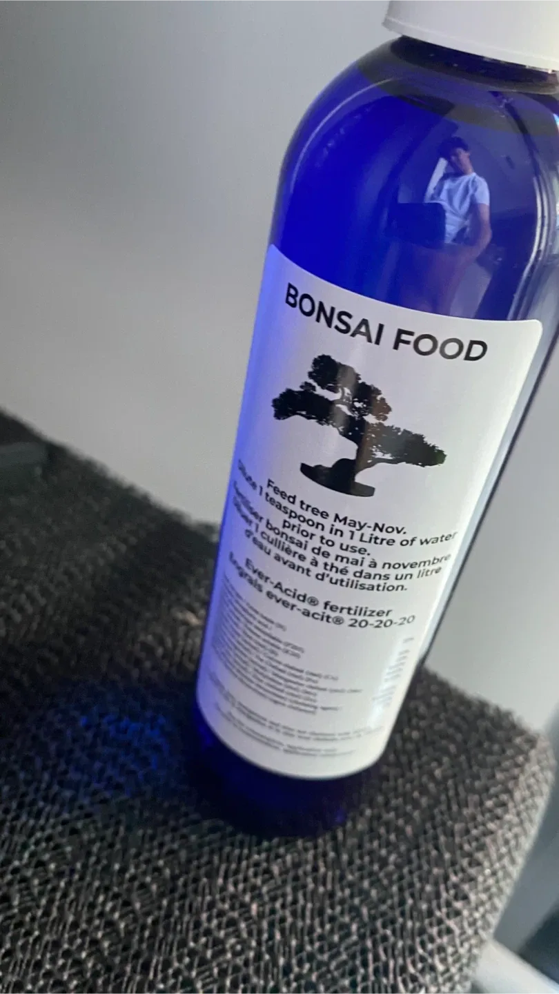 Juniper Bonsai (Real) with Pot & fertilizer image indicator(3)