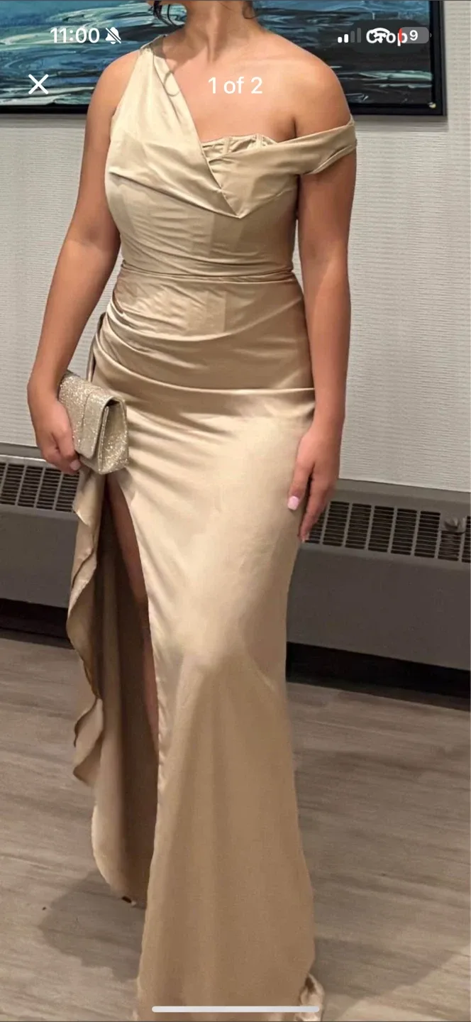 dress image indicator(2)