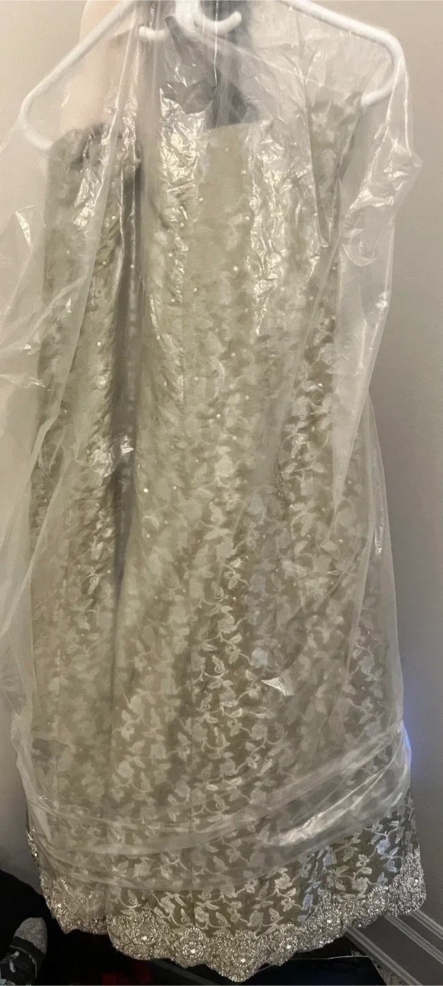 Beautiful Pakistani Bridal Gown image indicator(4)