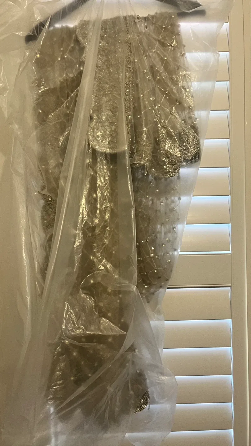 Beautiful Pakistani Bridal Gown image indicator(5)