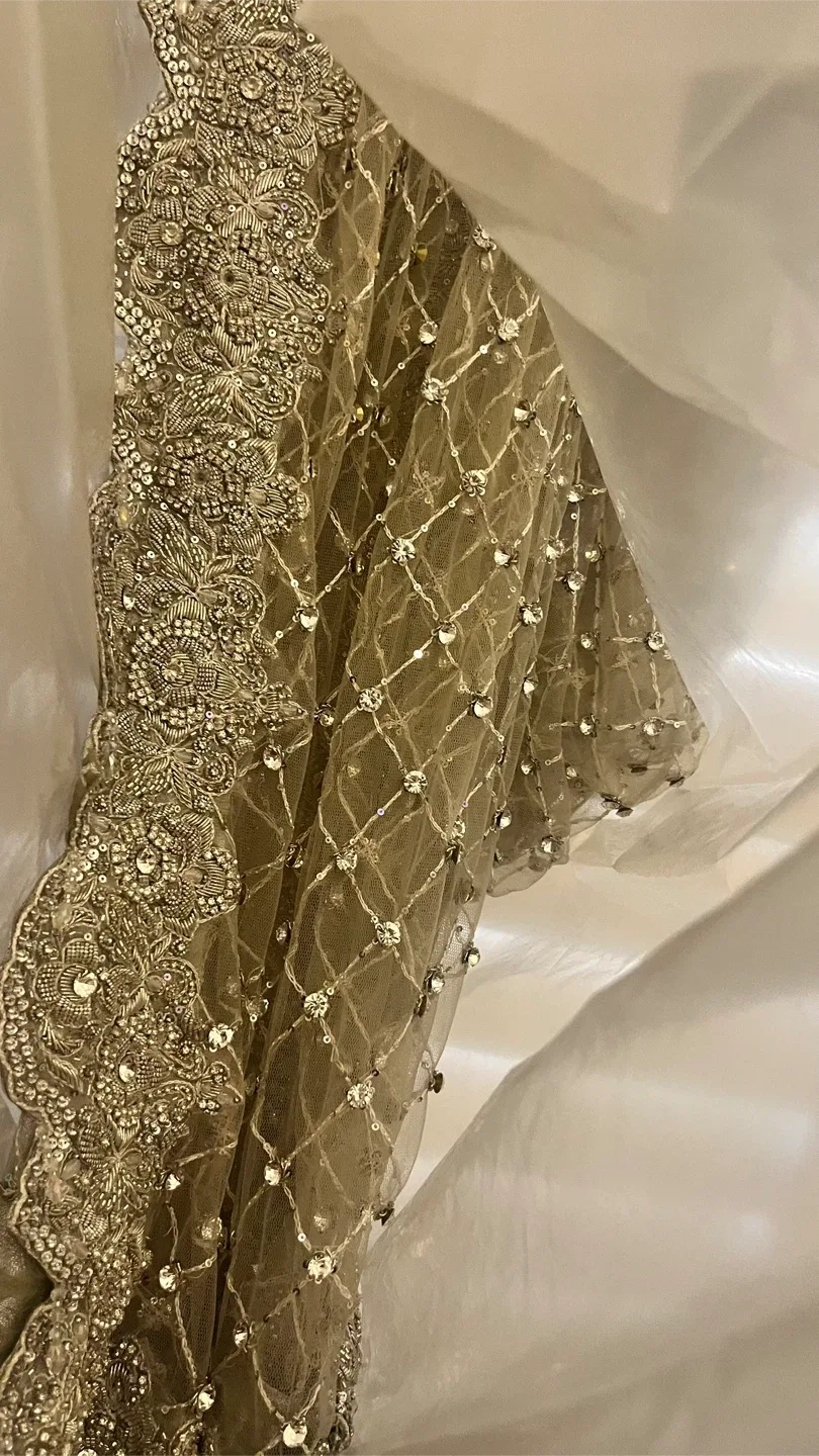 Beautiful Pakistani Bridal Gown image indicator(6)