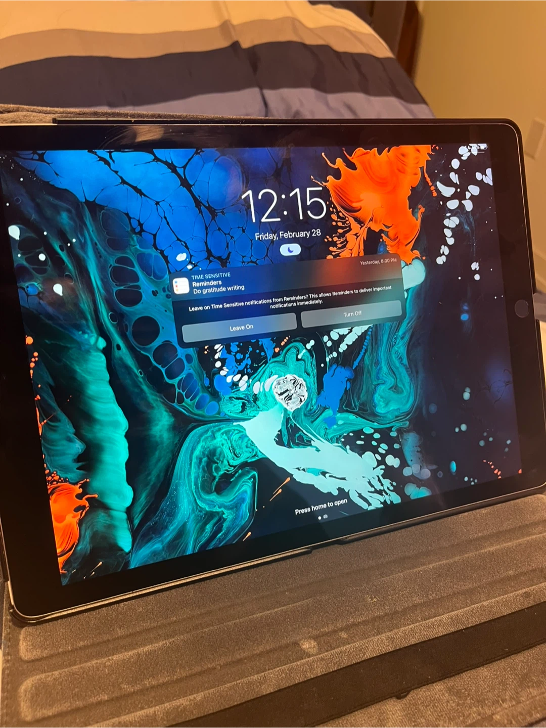📱 iPad Pro 12.9” (2015) – 32 GB | Great Condition + Case