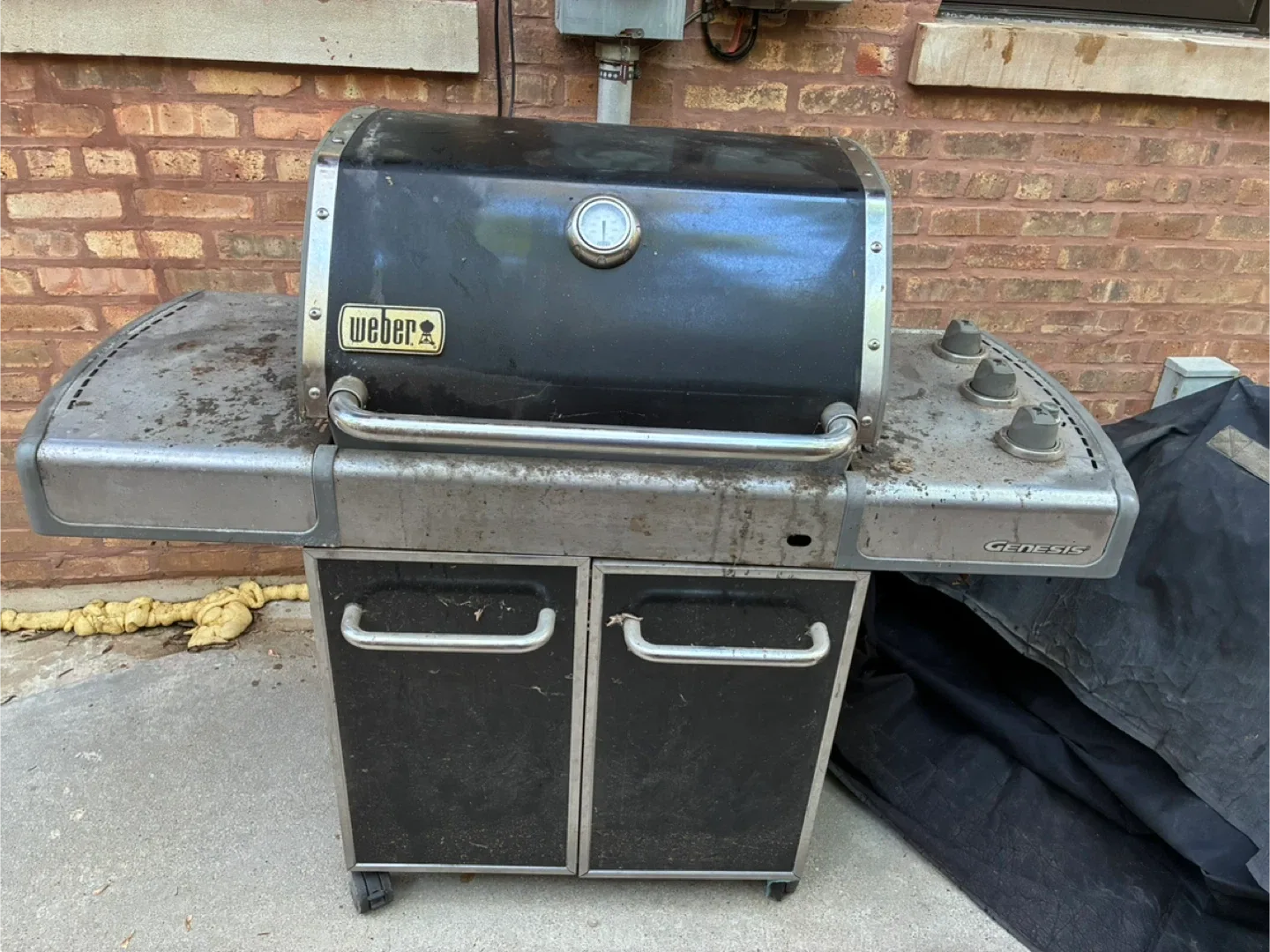 Weber Genesis Grill thumbnail