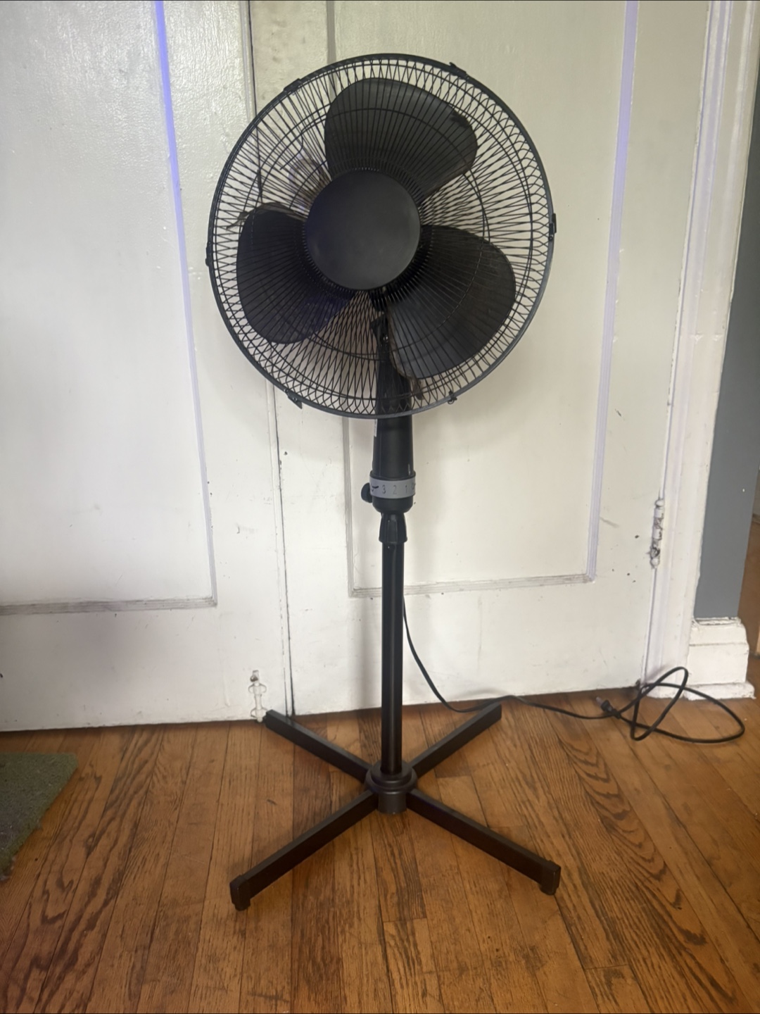 Black Standing Fan