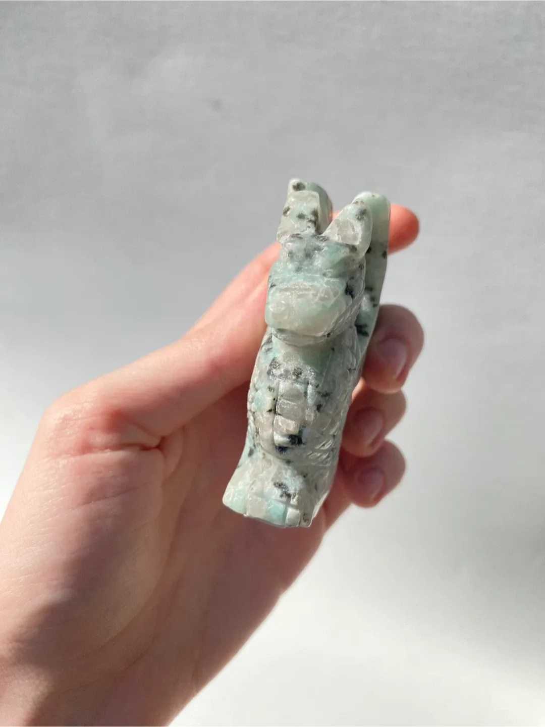 Kiwi Jasper Dragon image indicator(3)