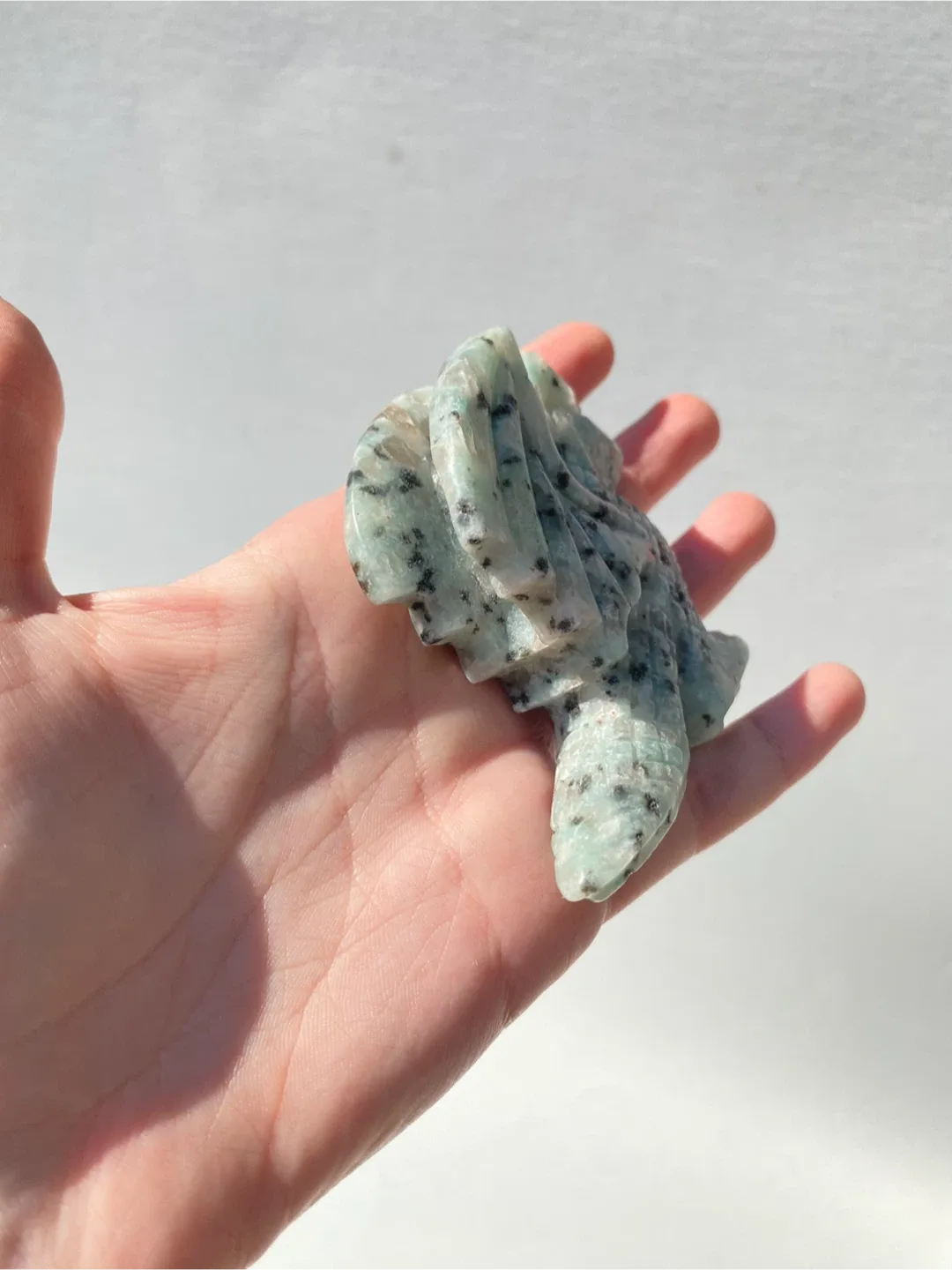 Kiwi Jasper Dragon image indicator(4)